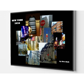 Livre photo - voyage à New York - fev_mars 2026