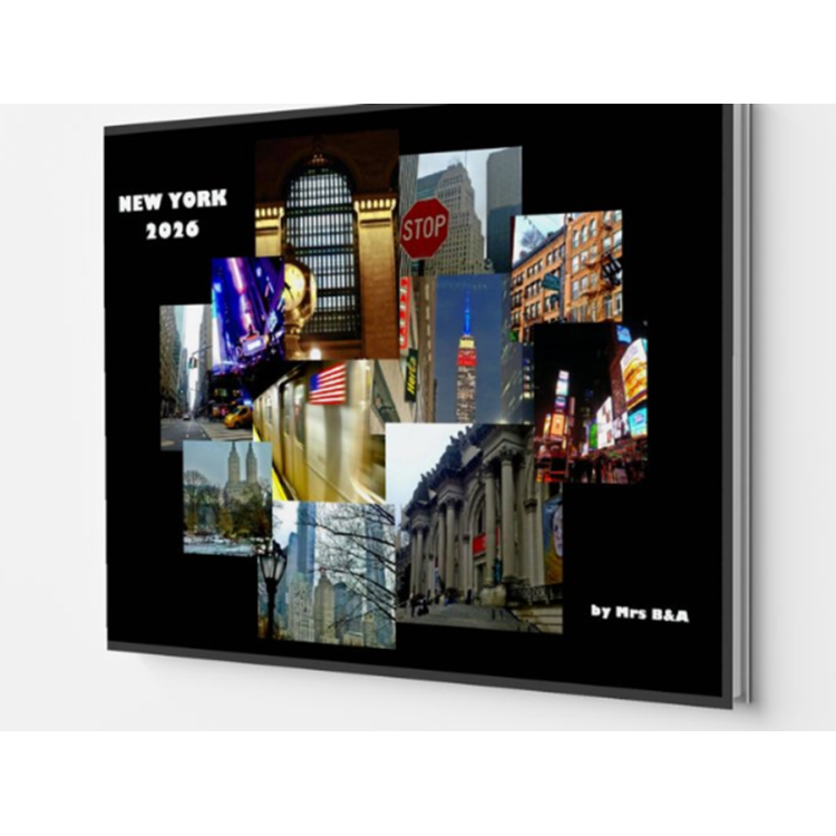 Livre photo - voyage à New York - fev_mars 2026