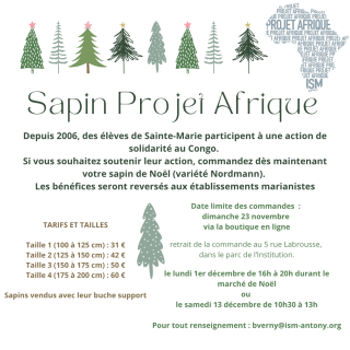 Sapin projet Afrique - 2025