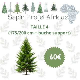 Sapin projet Afrique - 2025